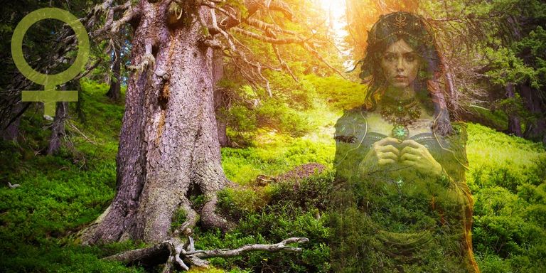 Eine mystisch gekleidete Frau mit einem Kopfschmuck steht in einem sonnendurchfluteten, moosbedeckten Wald neben einem großen Baumstamm.